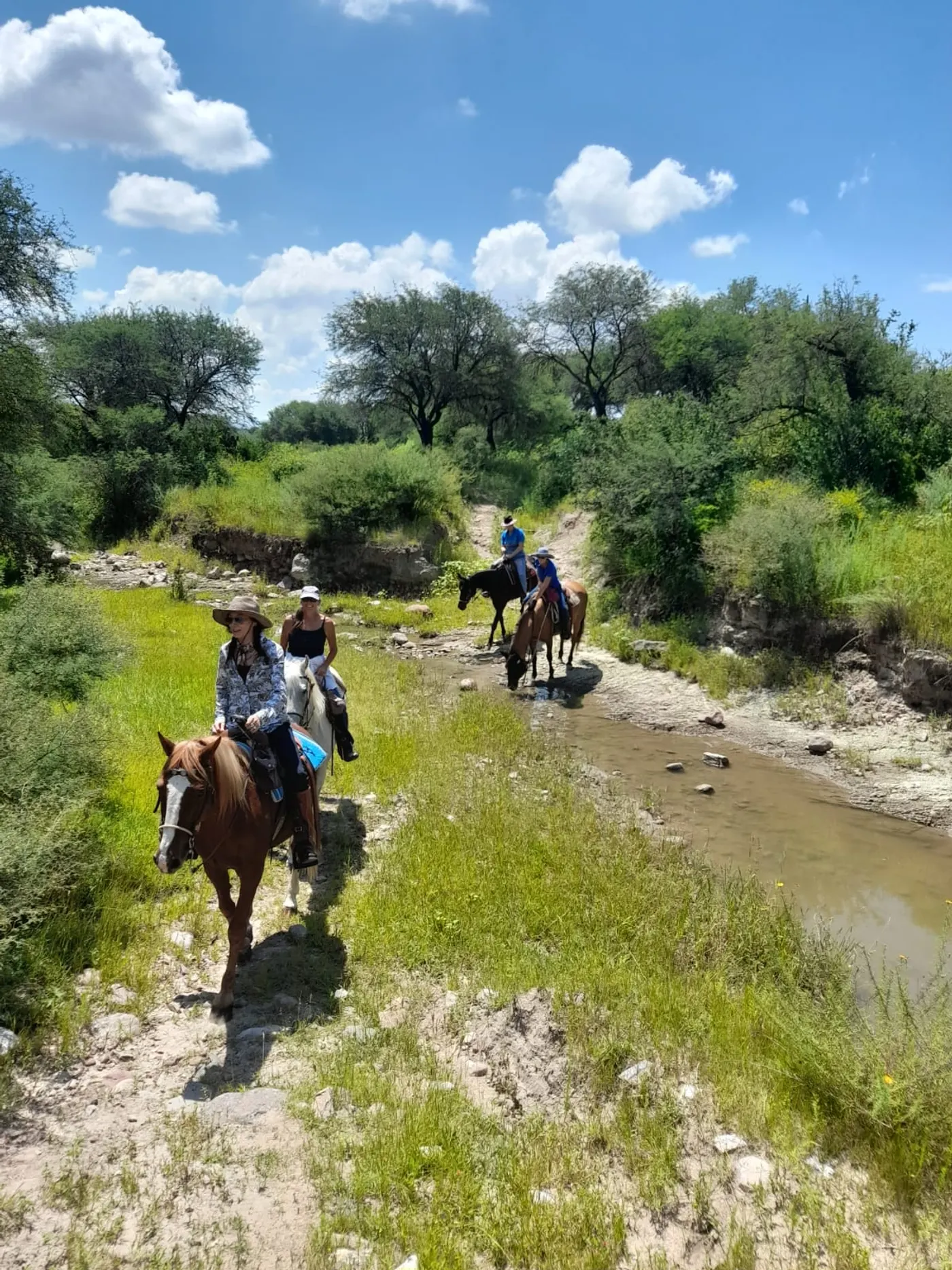 Horses and riders crossing the river on the canyon ride
