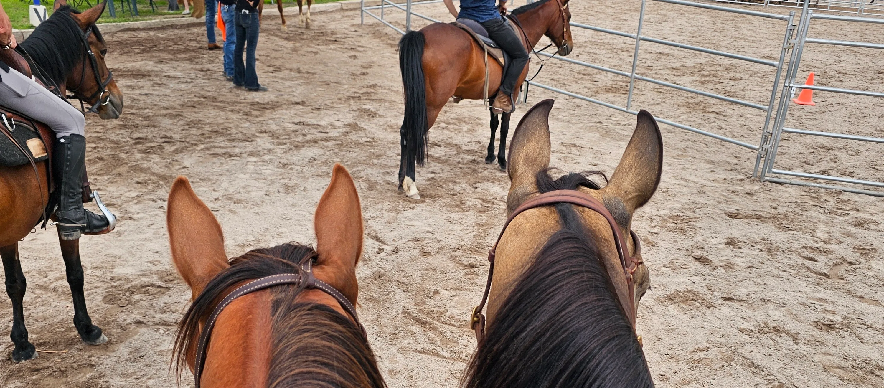 Riders crossing the river into the canyon near Rancho Baile de la Luna