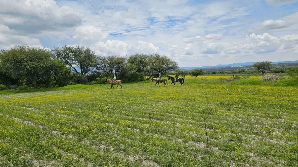 Ready to ride at Rancho Baile de la Luna