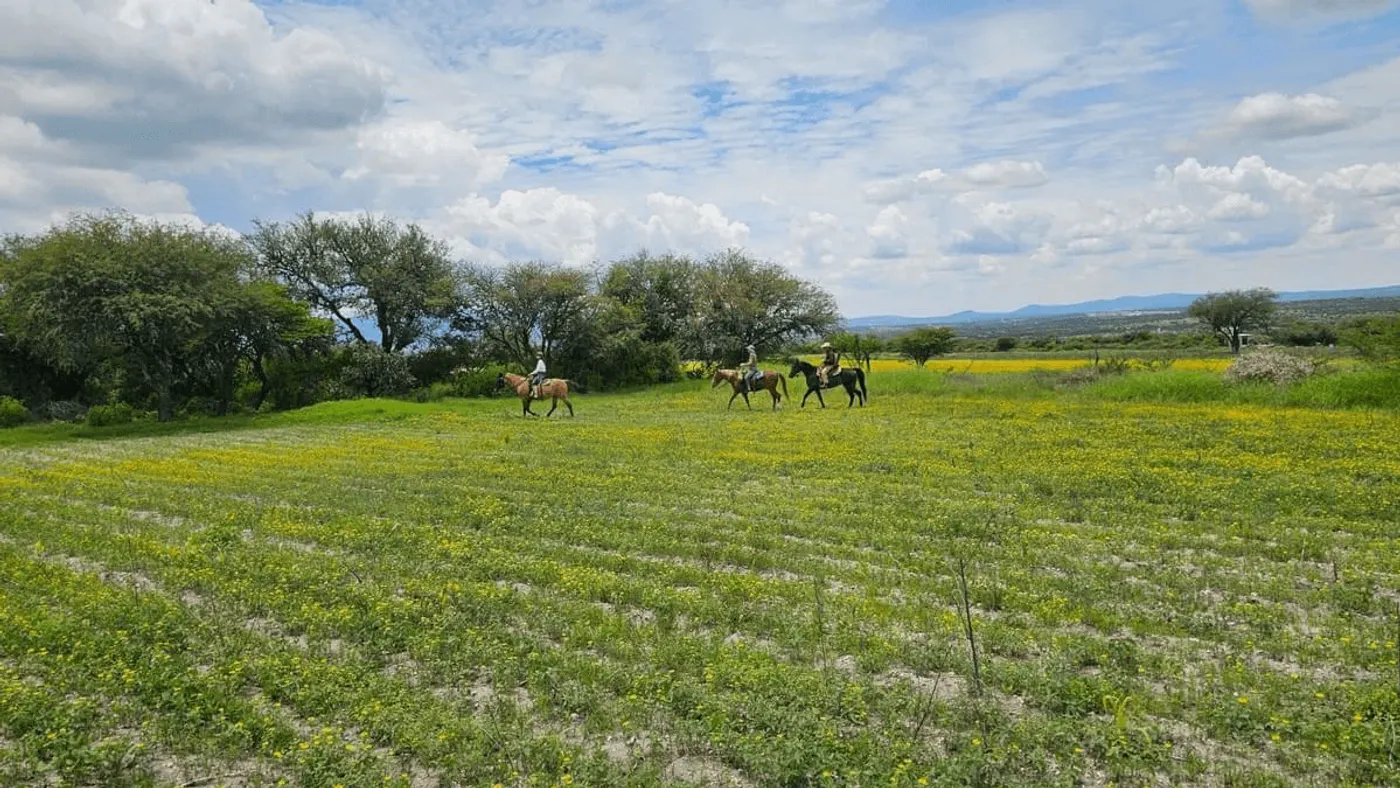 Ready to ride at Rancho Baile de la Luna