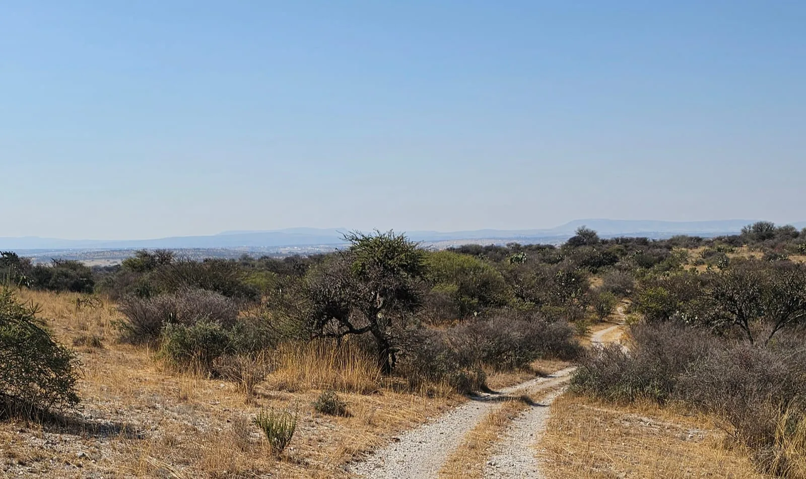 Roberto, the ranch wrangler, riding in the countryside near San Miguel de Allende