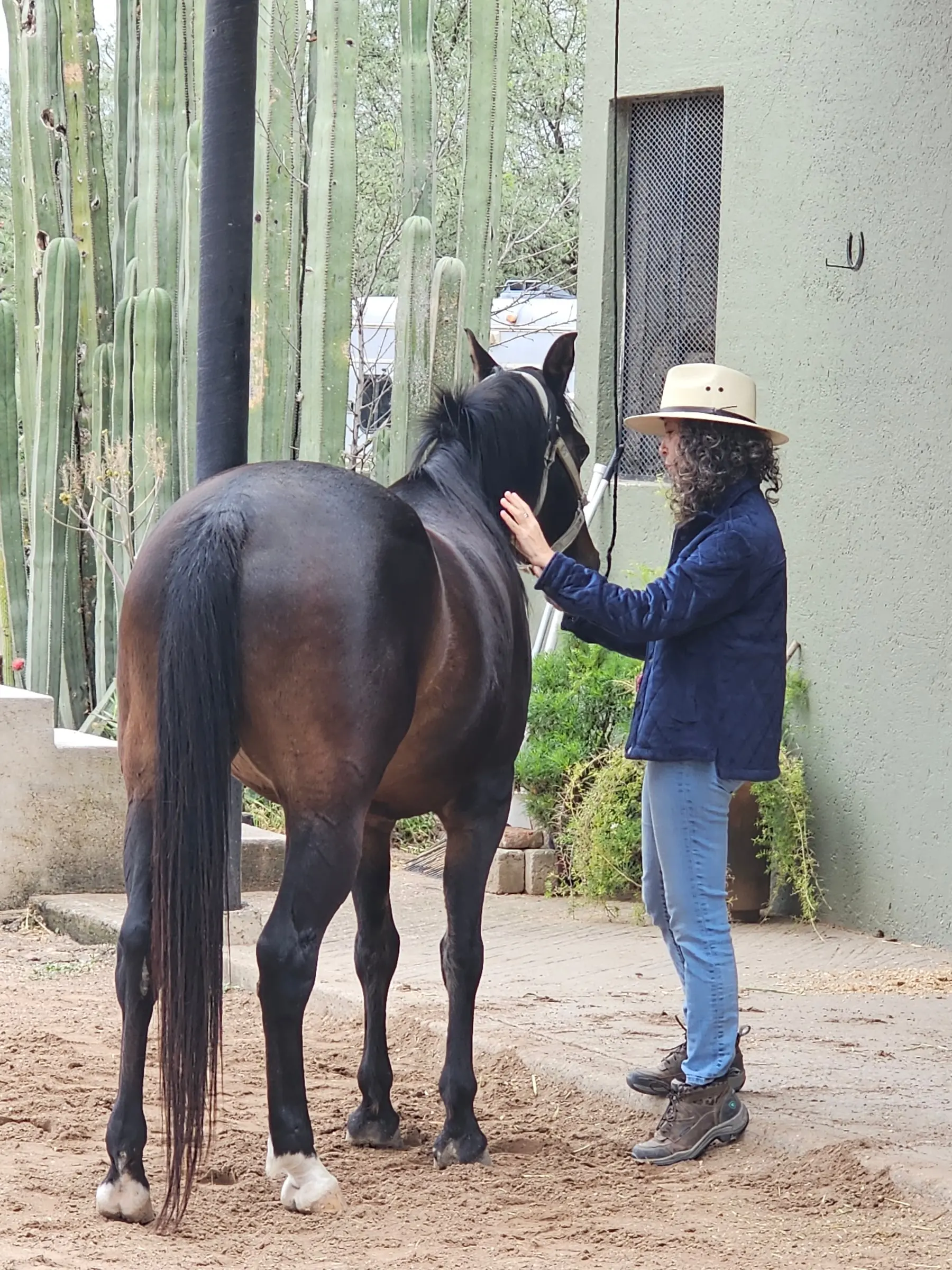A first hello by the stables