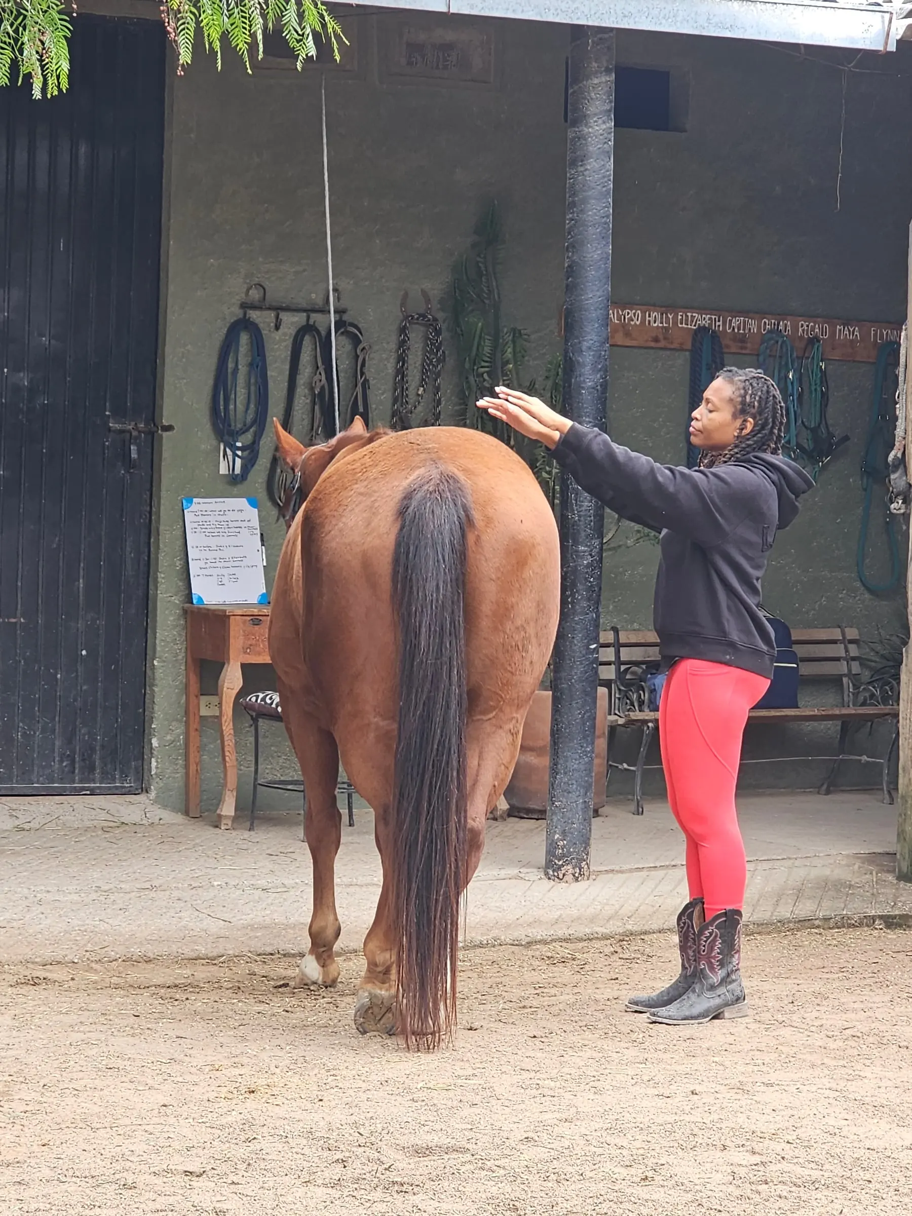 Hands out, feeling for where the horse begins