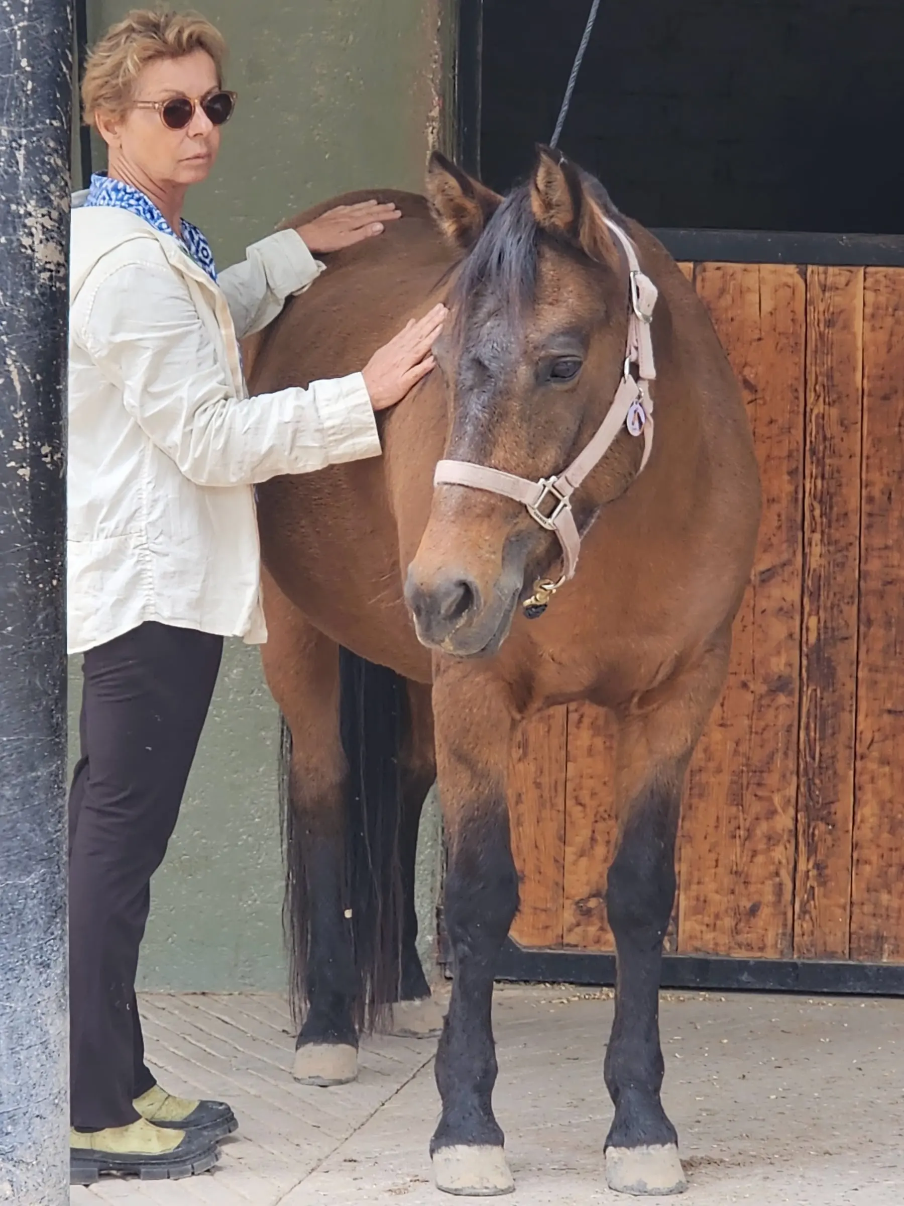 Standing shoulder to shoulder with a Kiger Mustang