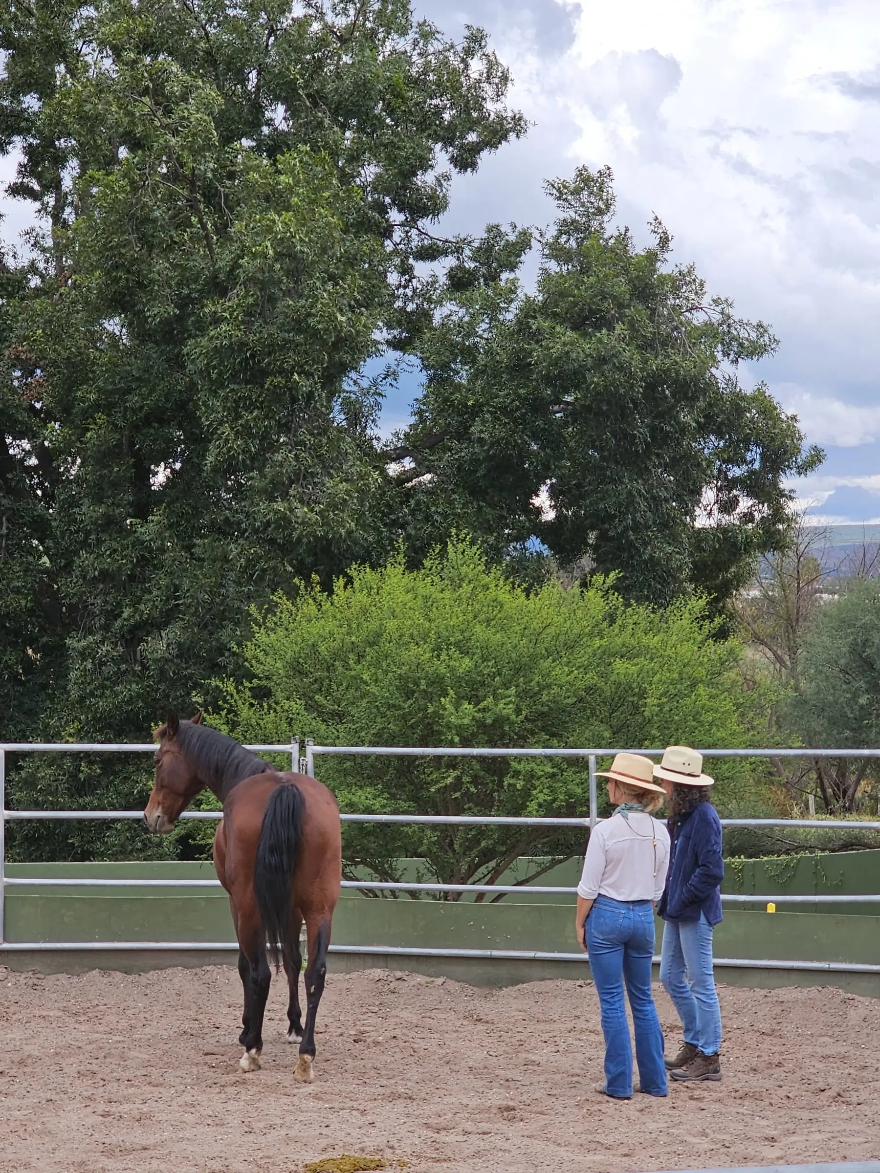 Two women and two horses, finding a pace