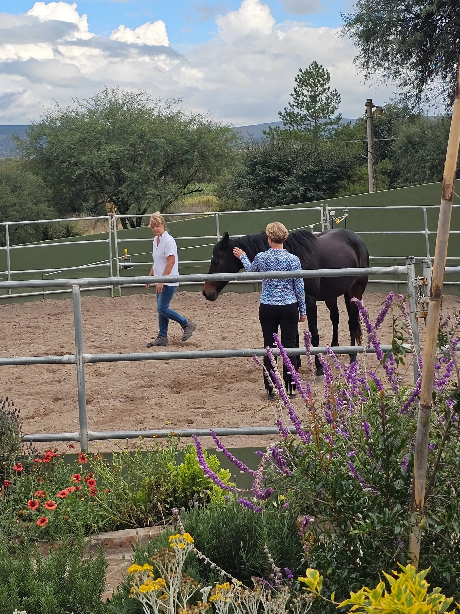 The round pen from the garden