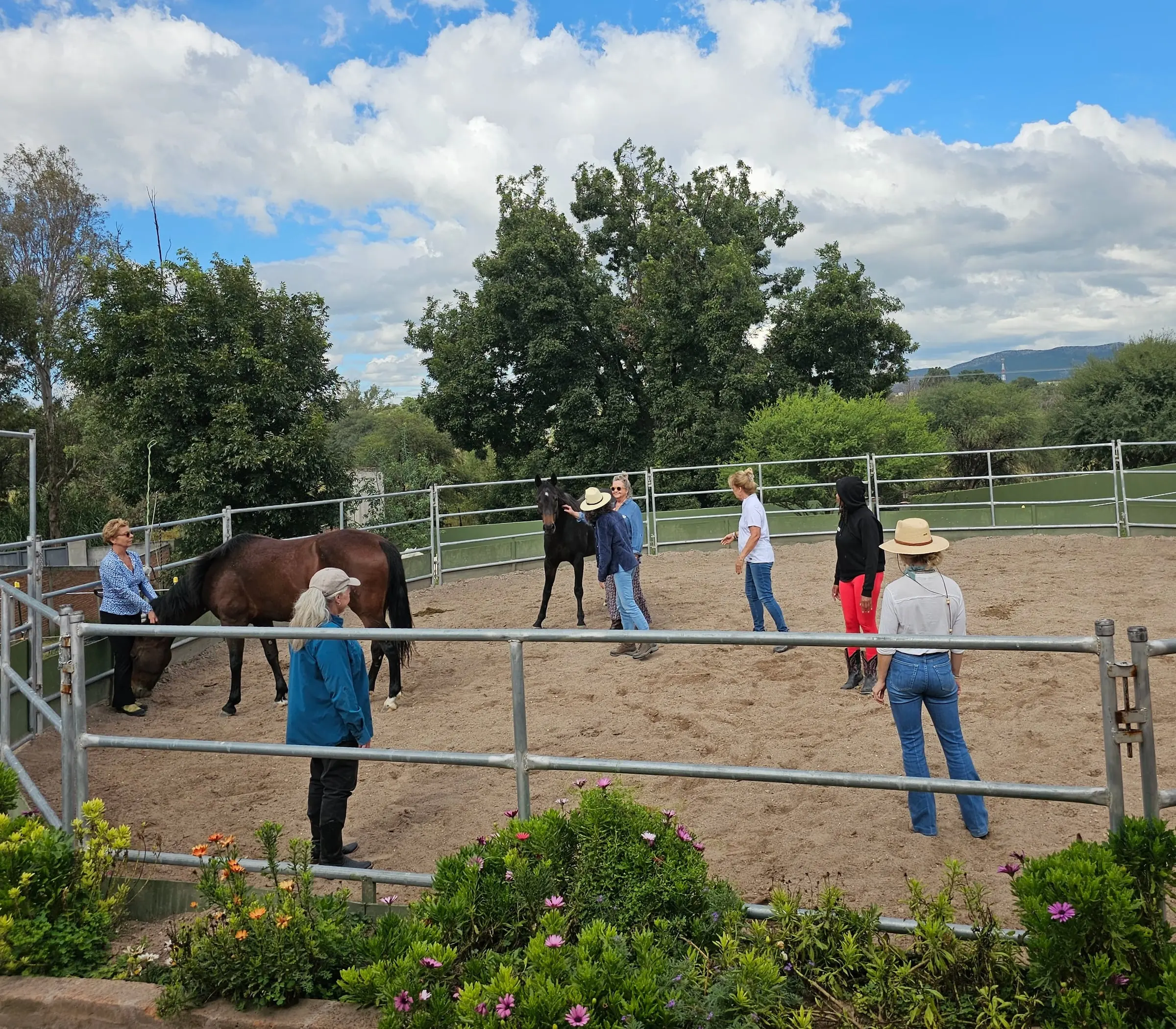 The whole circle in the round pen, each woman with a horse