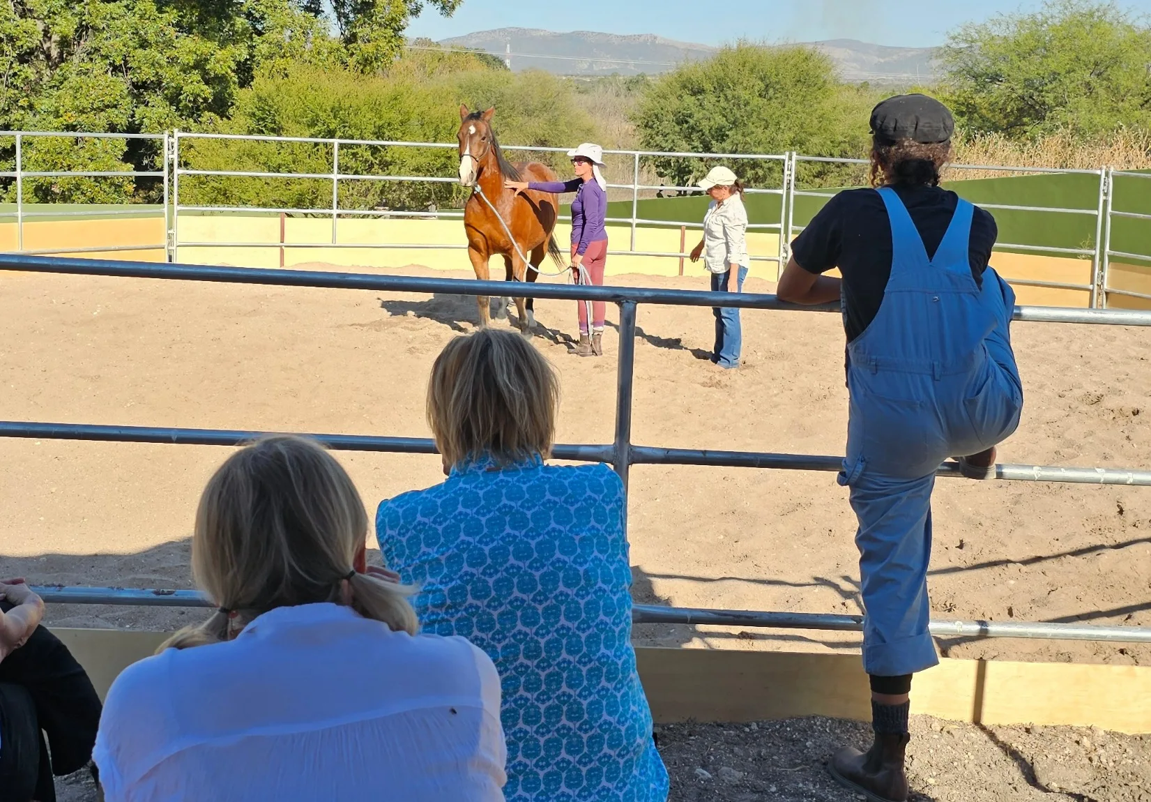 A circle of women with a horse at a Fire Horse day retreat at Rancho Baile de la Luna