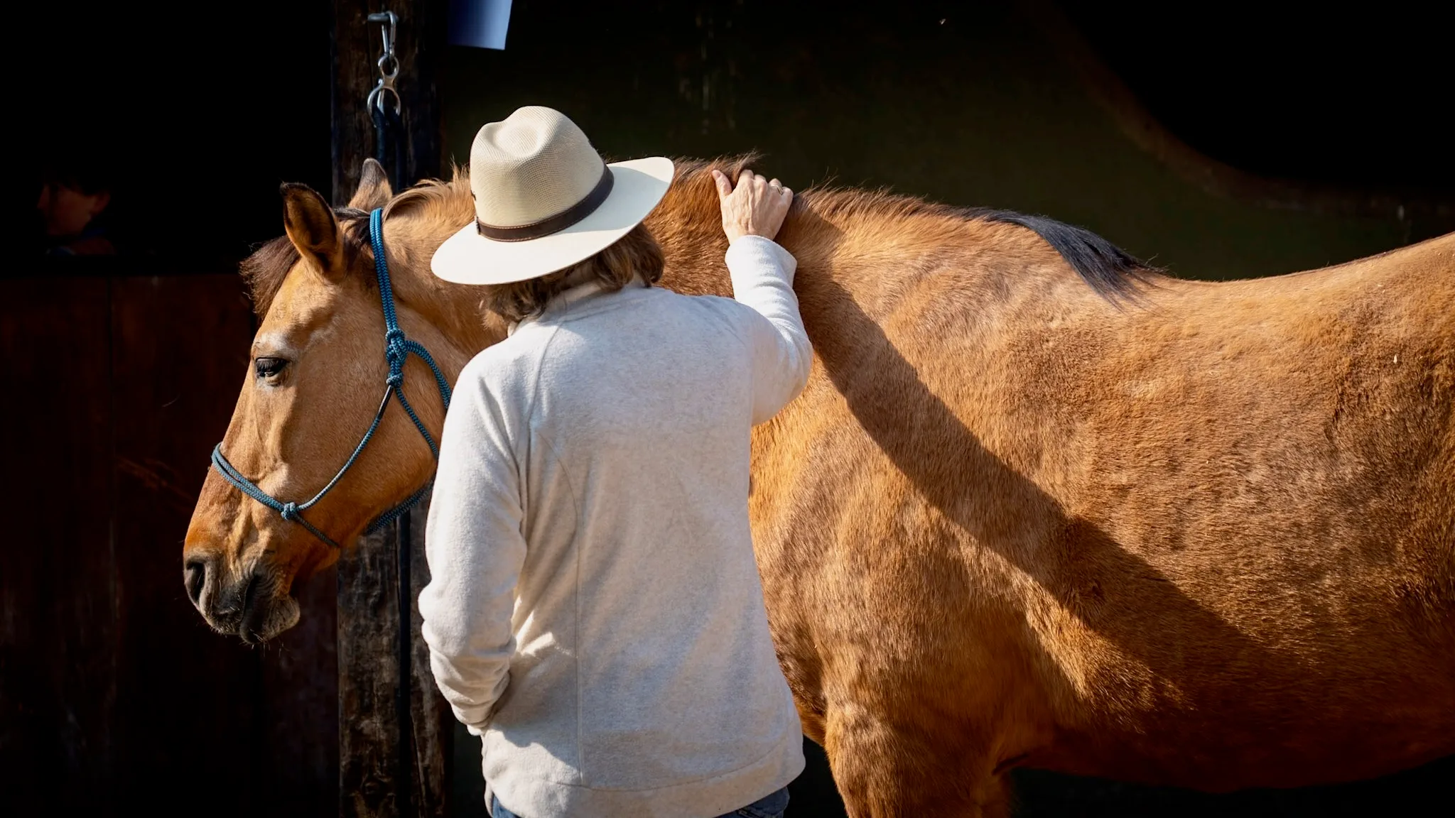 Luz dorada de la tarde sobre un caballo en Rancho Baile de la Luna