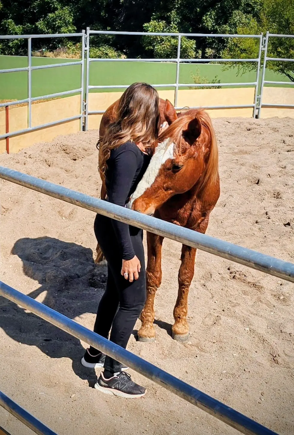 A guest standing quietly with a horse in a pen at Rancho Baile de la Luna