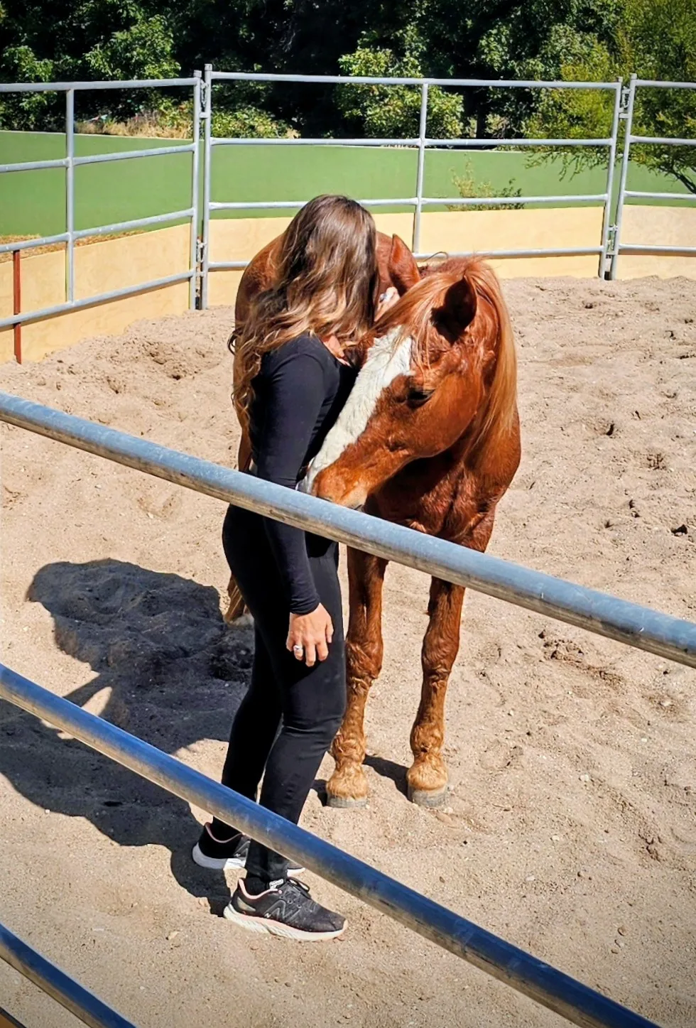 A guest standing quietly with a horse in a pen at Rancho Baile de la Luna