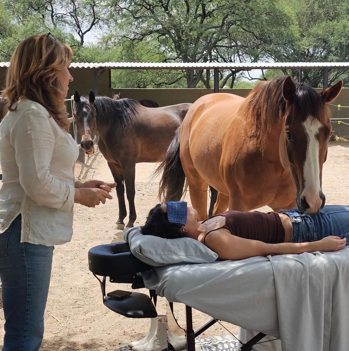 A Reiki session with the horses standing close by