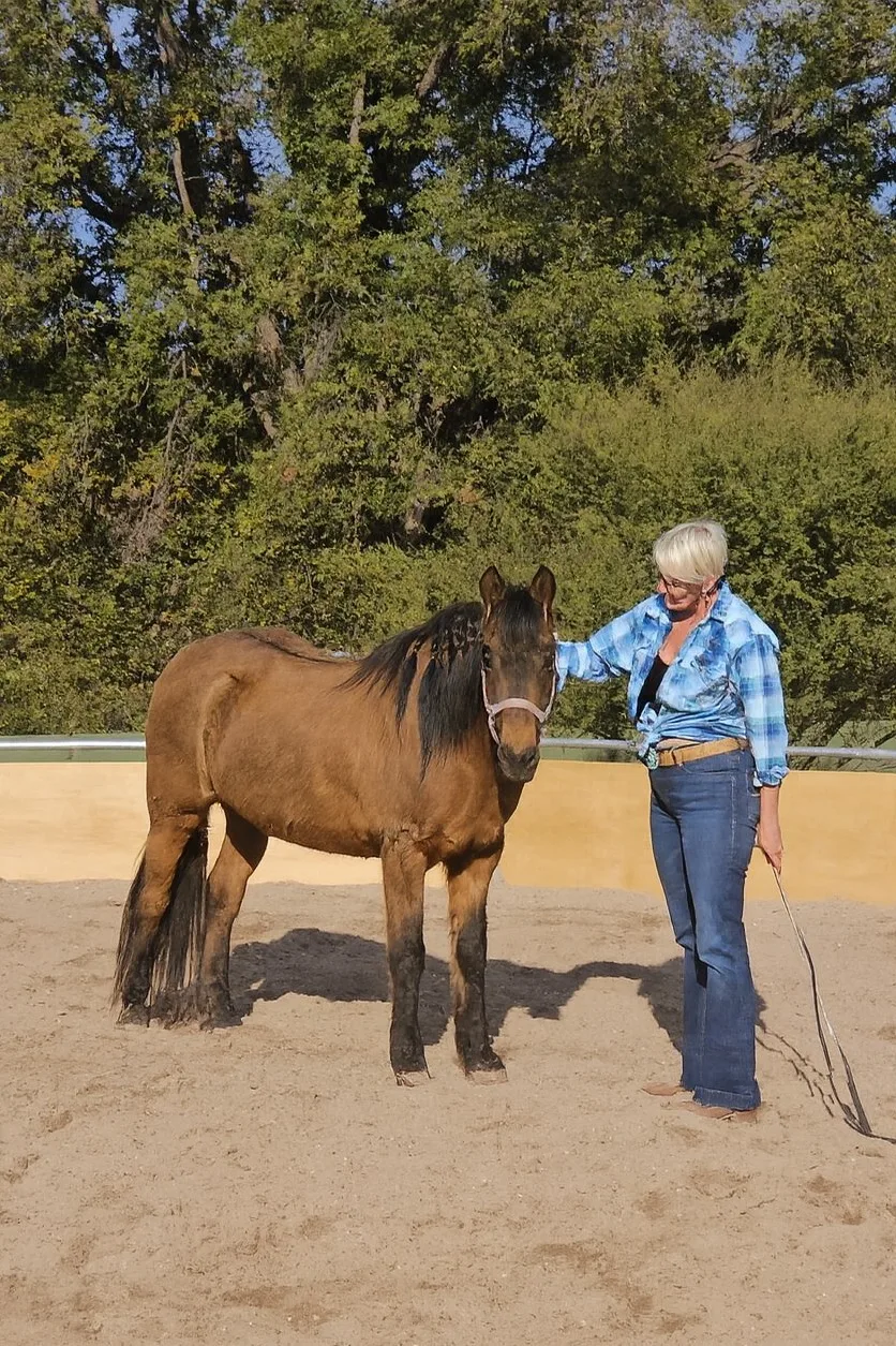 Kalypso, una yegua Kiger Mustang nacida en libertad, en Rancho Baile de la Luna