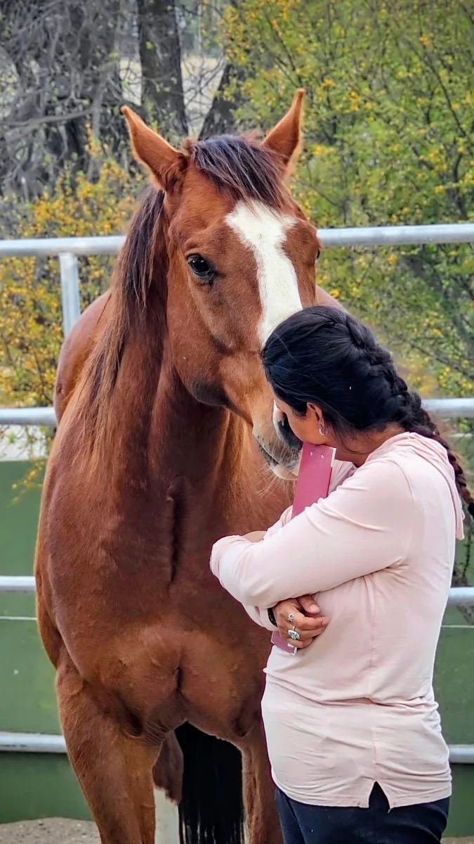 A quiet moment with a horse during a Spirit Horse journey