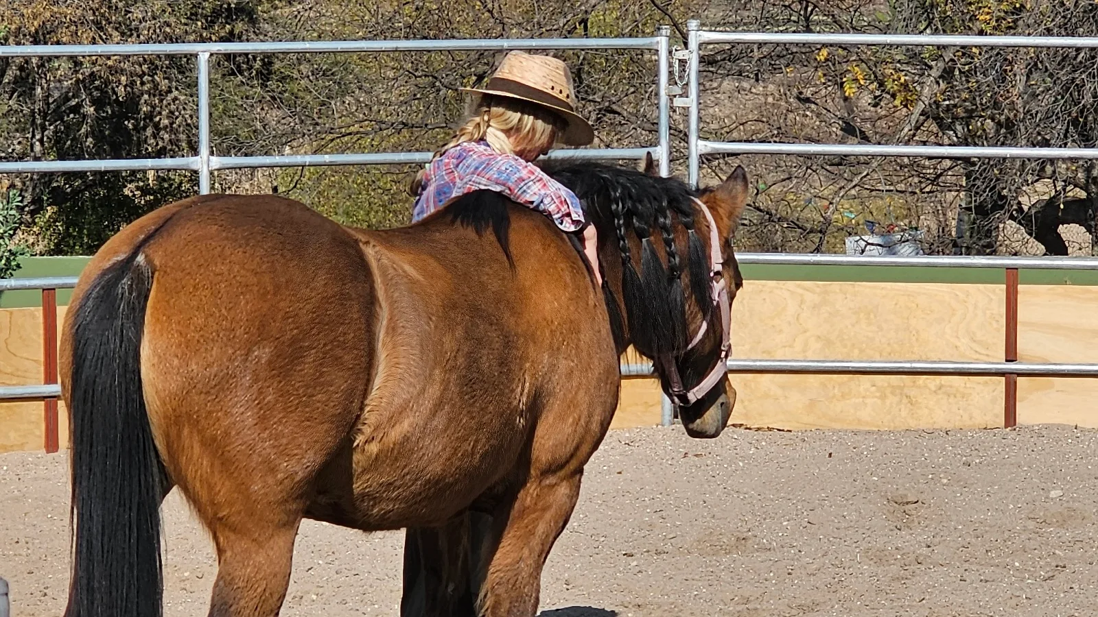 Quiet groundwork during a Fire Horse day