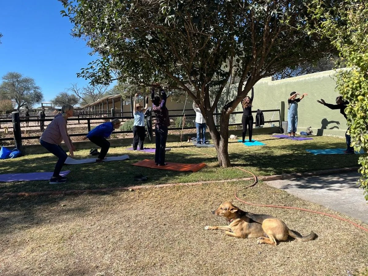 A morning movement session under the trees