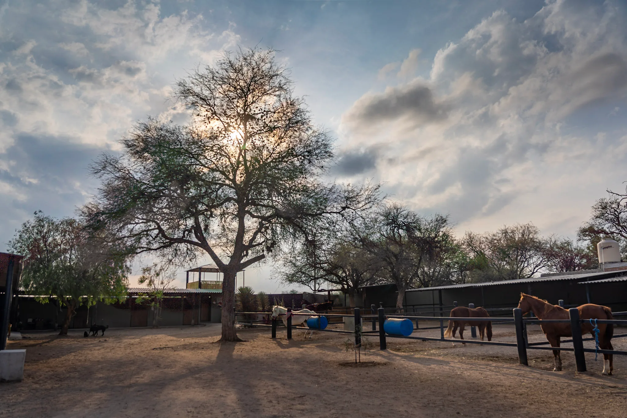 The ranch under wide high desert skies outside San Miguel de Allende