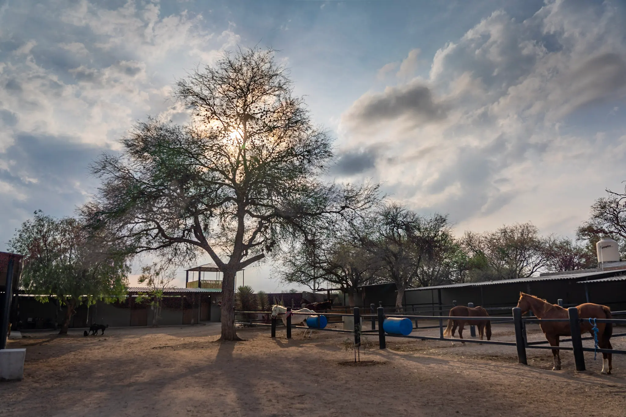 El rancho bajo el cielo abierto del campo a las afueras de San Miguel de Allende