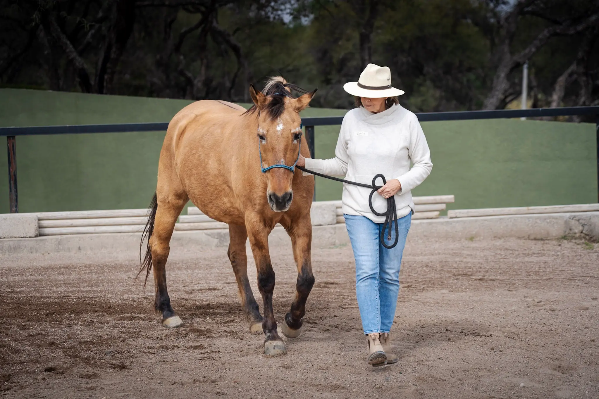 A woman walking side by side with a horse in the arena at Rancho Baile de la Luna