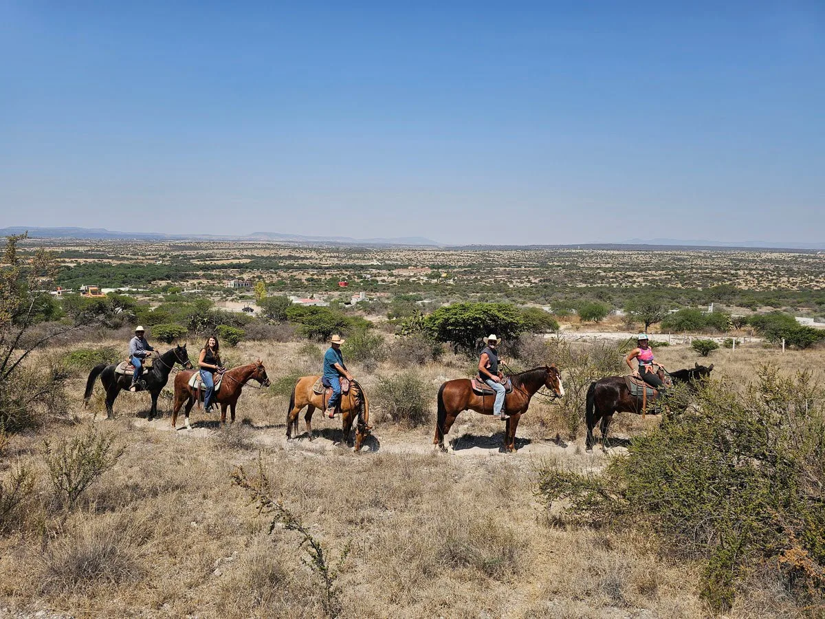 Caballos bebiendo en el río durante una cabalgata de dos horas cerca de San Miguel de Allende