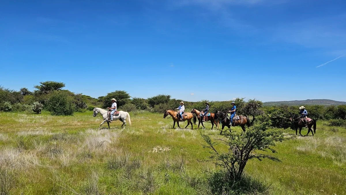 Riders strung out across the green campo after the rains