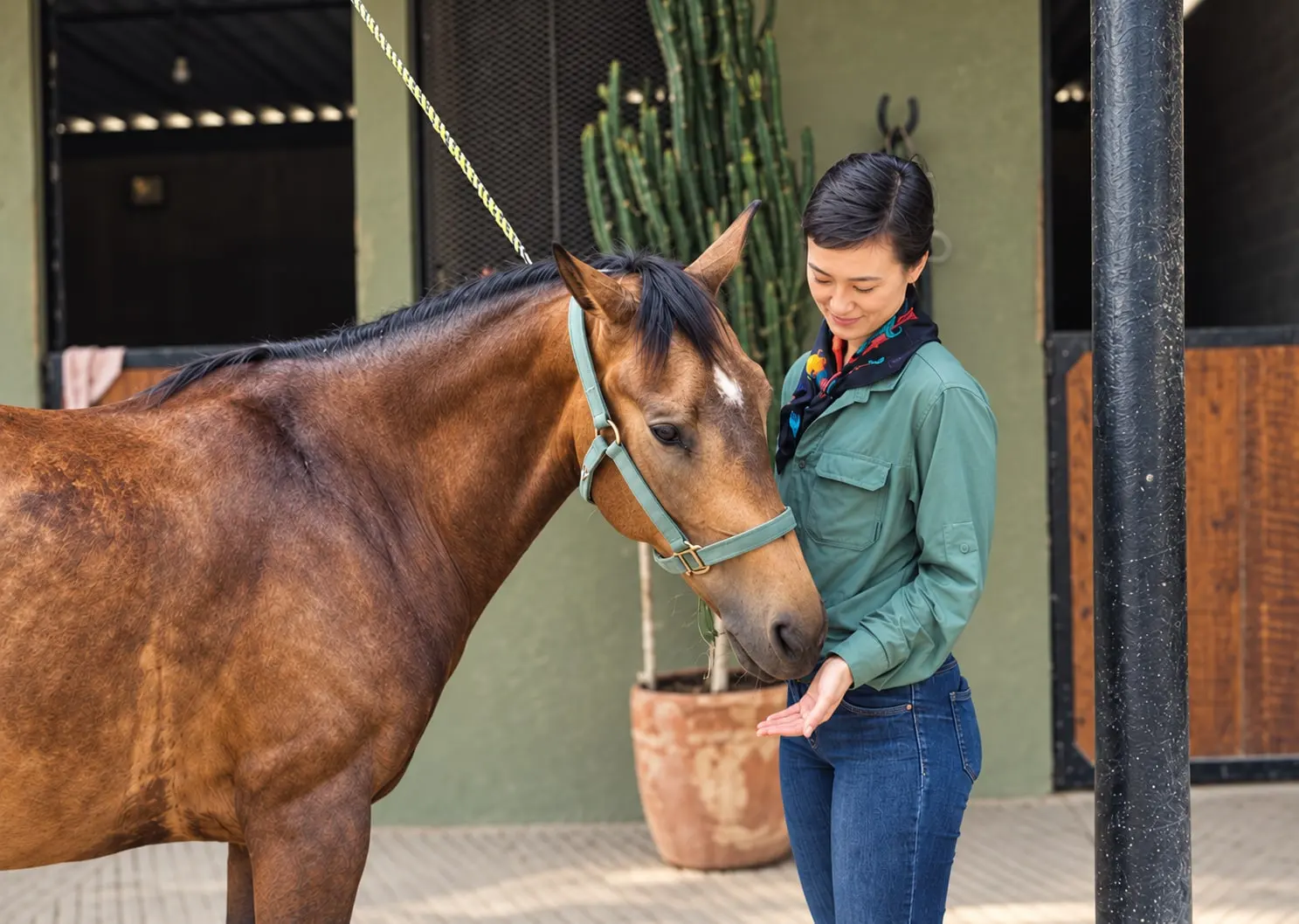 A guest offering her open hand to a dun horse outside the stables at Rancho Baile de la Luna